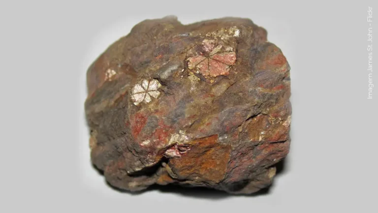 Pinito                                          (Cherry Blosson Stone)                                  A rocha mais “fofa”                         que você já viu.
