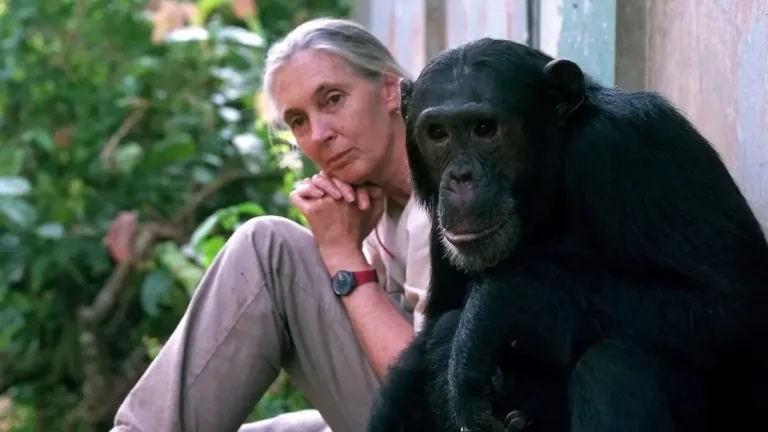 Jane Goodall