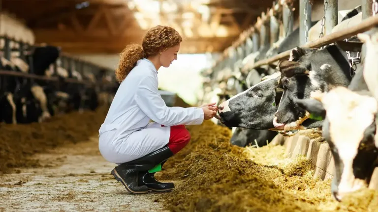 Mineração e Zootecnia – A Importância da Mineração na Produção Animal