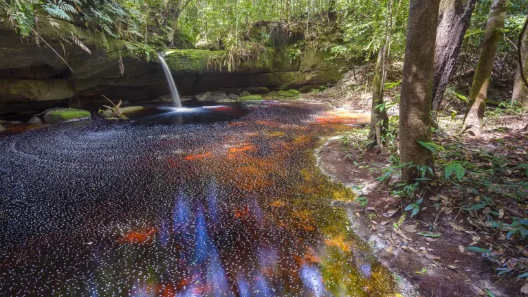 Parque Nacional do Jaú AM