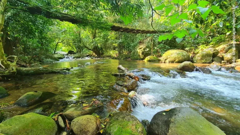 Parque Estadual de Ilhabela: Um Paraíso Natural Escondido no Litoral Paulista
