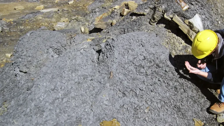 Condições Geológicas na Mineração: Termômetros Geológicos