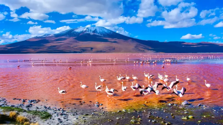 Laguna Colorada – Bolívia