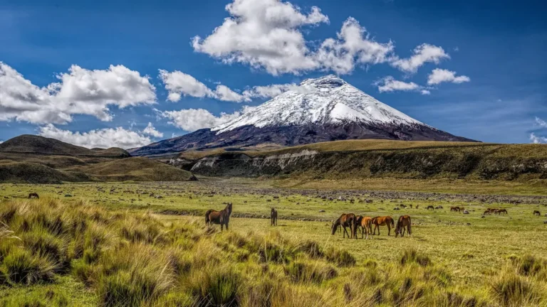 Parque Nacional Cotopaxi – Equador