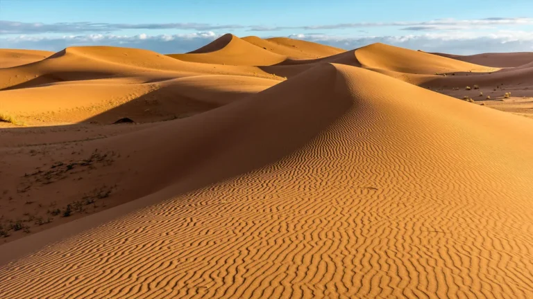 Parque Nacional Médanos de Coro: Um Mar de Areia no Norte da Venezuela