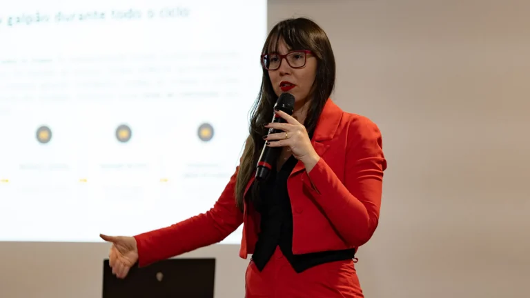 Recursos, reservas e estudos técnicos